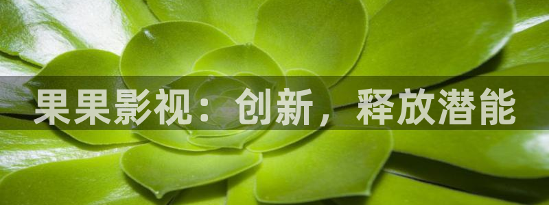 影视熊猫