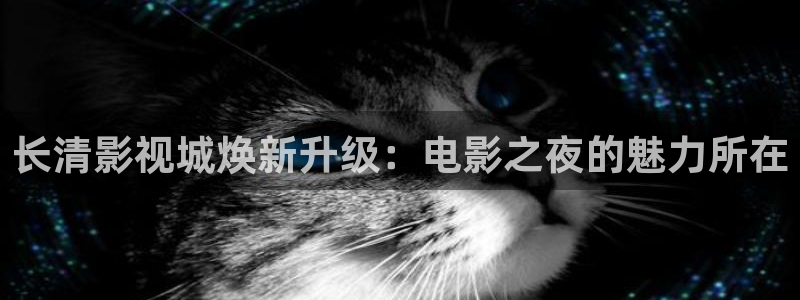 熊猫成人影院