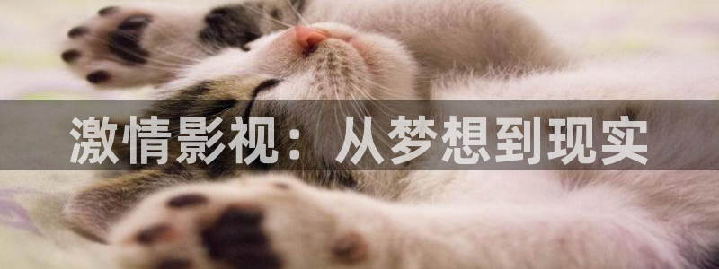 熊猫视频看大片免费