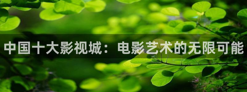 熊猫电影y8y8(4)