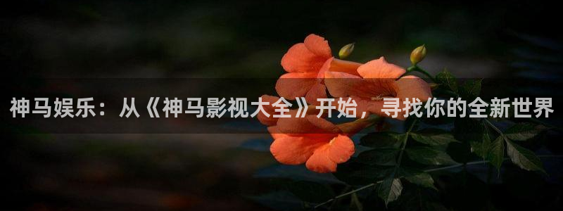 熊猫影院免费观看完整版